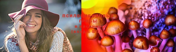 индика Лиски